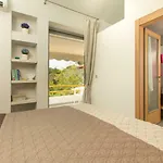 Aggistri Halkidiki Hotel 4*