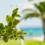 Hotel Aggistri Halkidiki