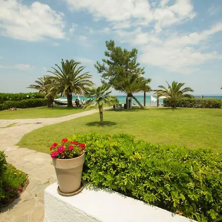 Aggistri Halkidiki 4* Pefkochori