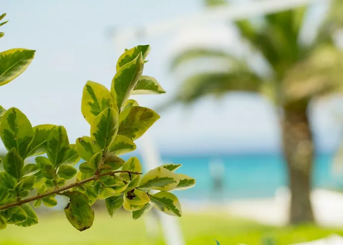 Hotel Aggistri Halkidiki